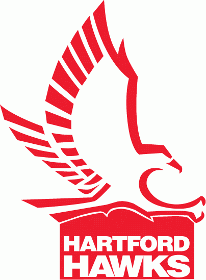 Hartford Hawks T shirt DIY iron-ons